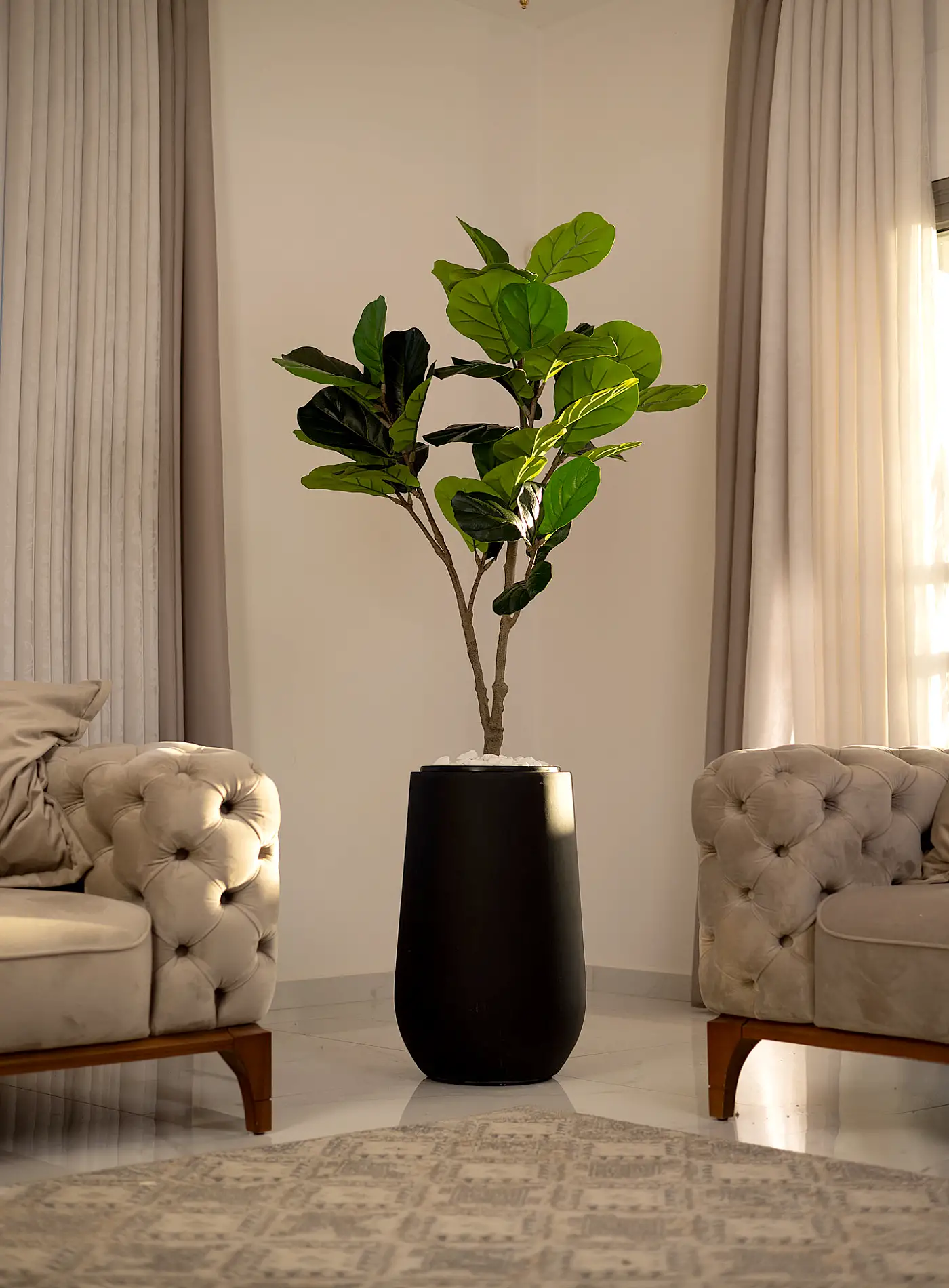 כד Serenity 60 בשילוב פיקוס כינורי קטן