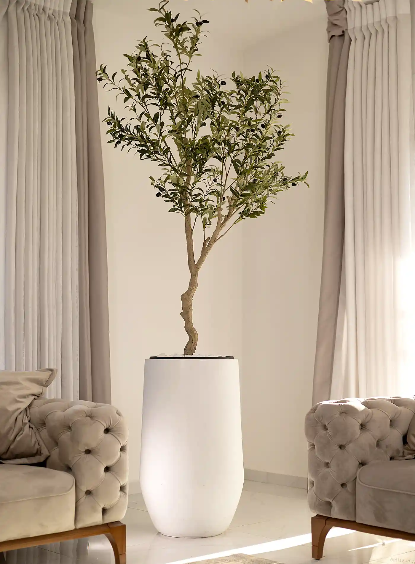 כד Serenity 80 בשילוב עץ זית מלאכותי גדול