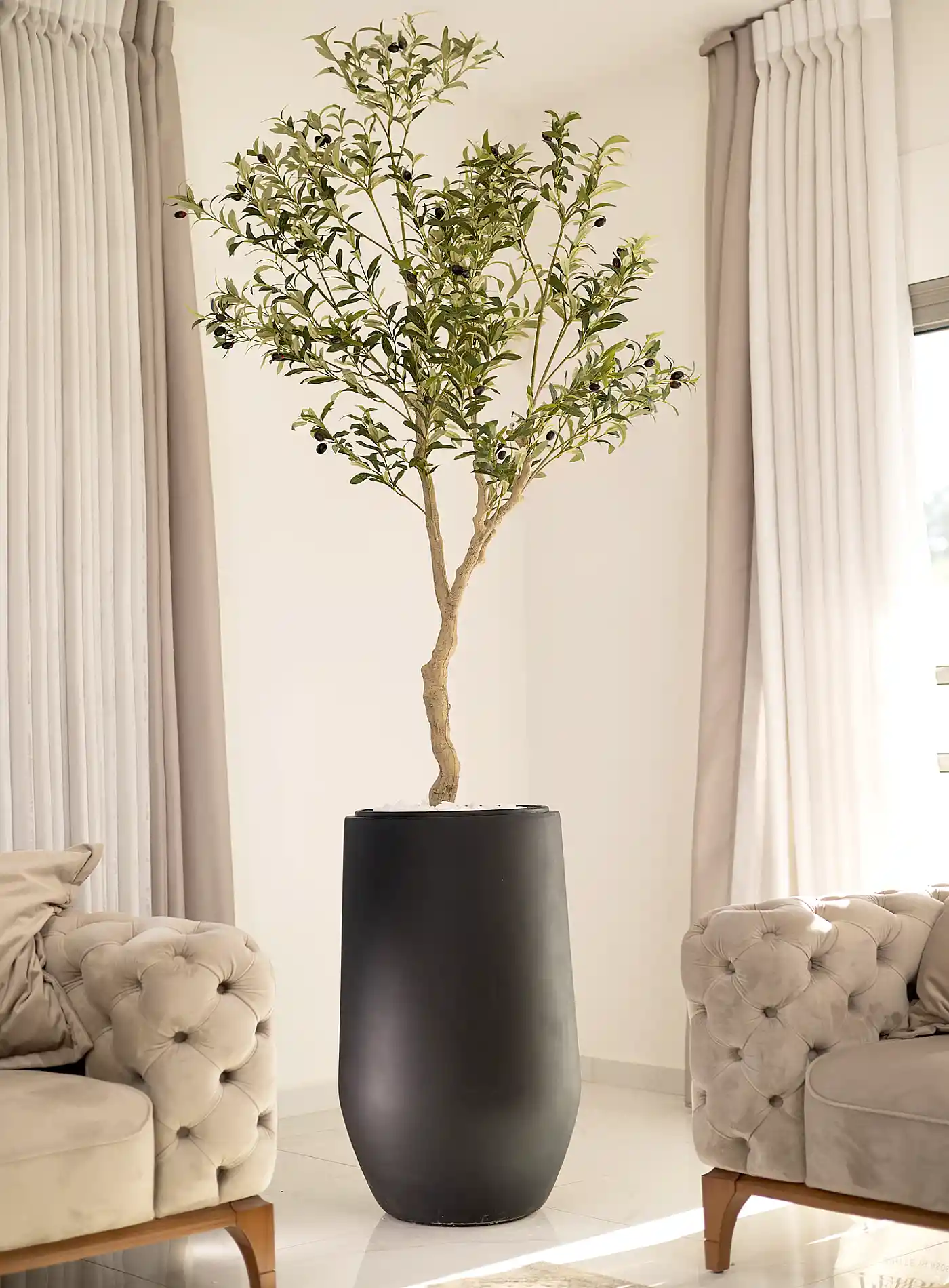 כד Serenity 80 בשילוב עץ זית מלאכותי גדול