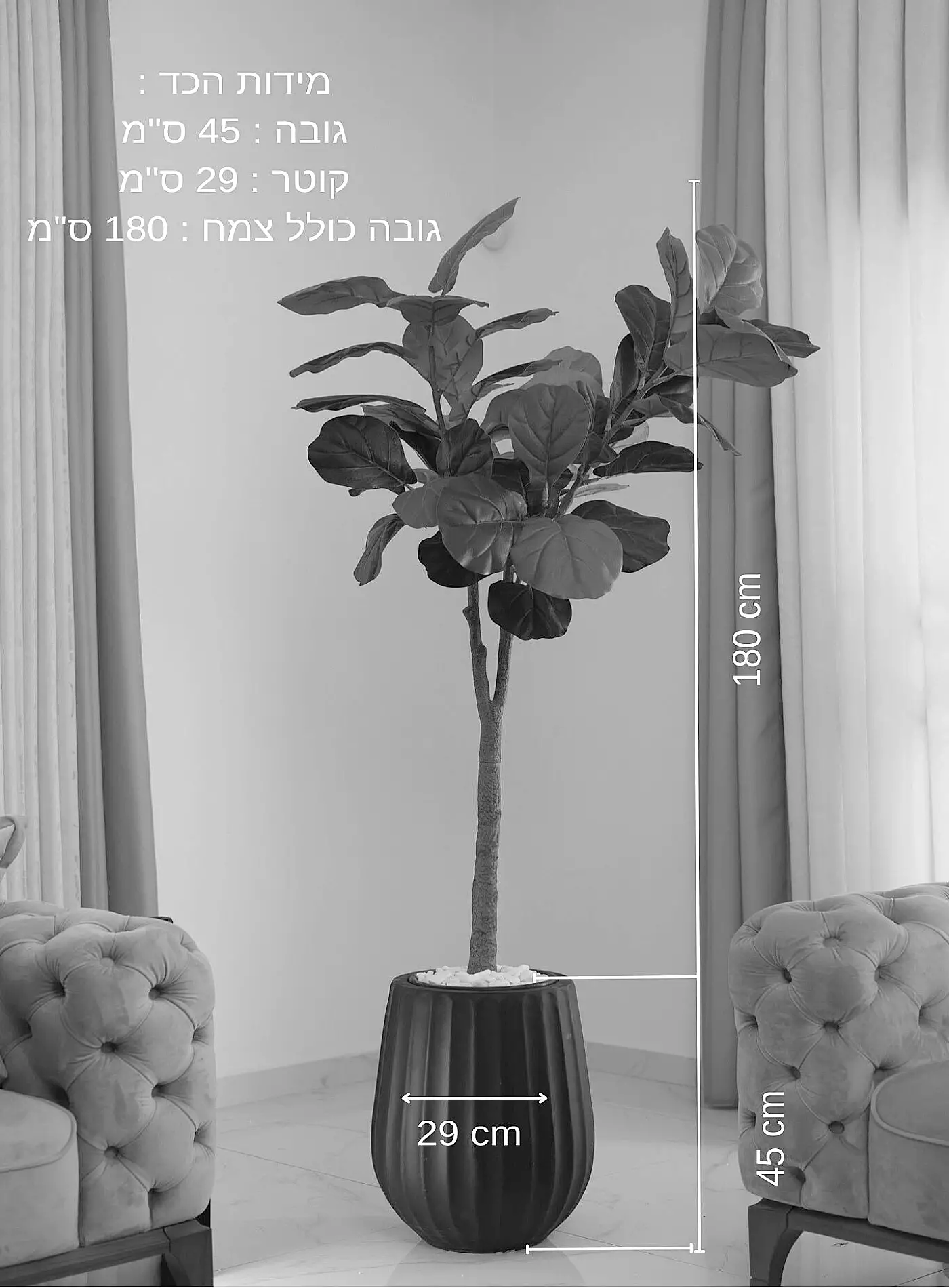 כד Elegance 45 בשילוב פיקוס כינורי מלאכותי גדול