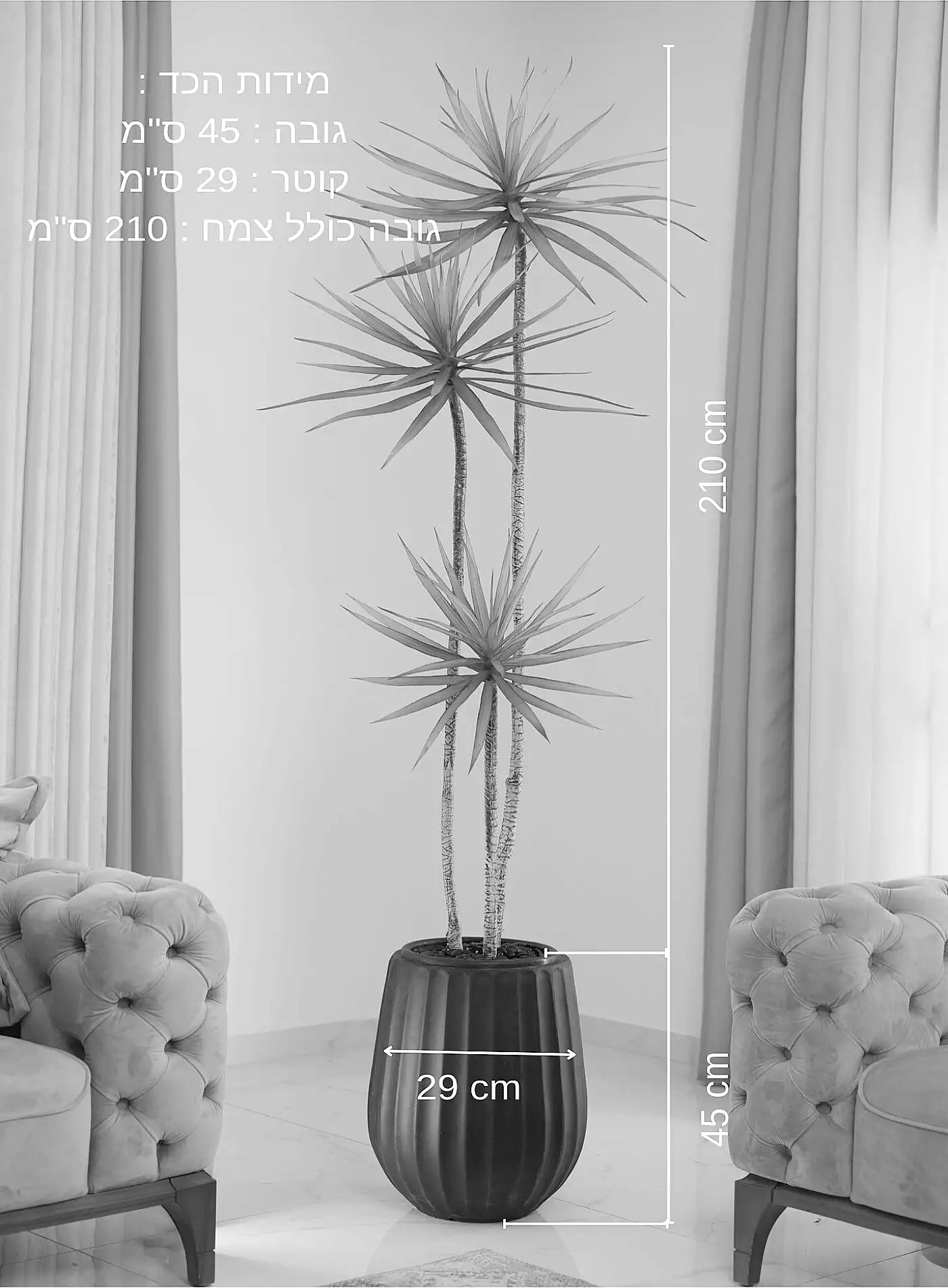 כד Elegance 45 שילוב דרצנה מלאכותית 3 גזעים