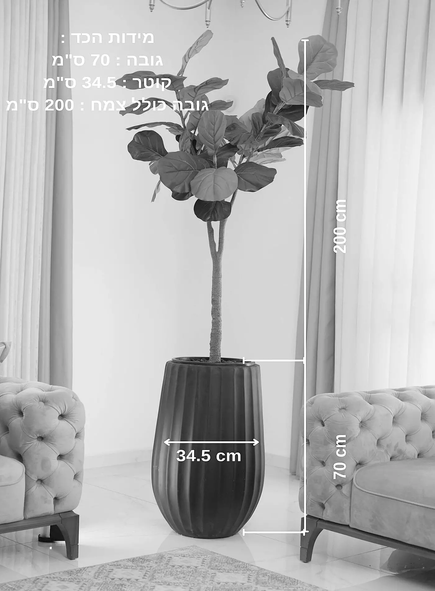 כד Elegance 70 בשילוב פיקוס כינורי מלאכותי גדול