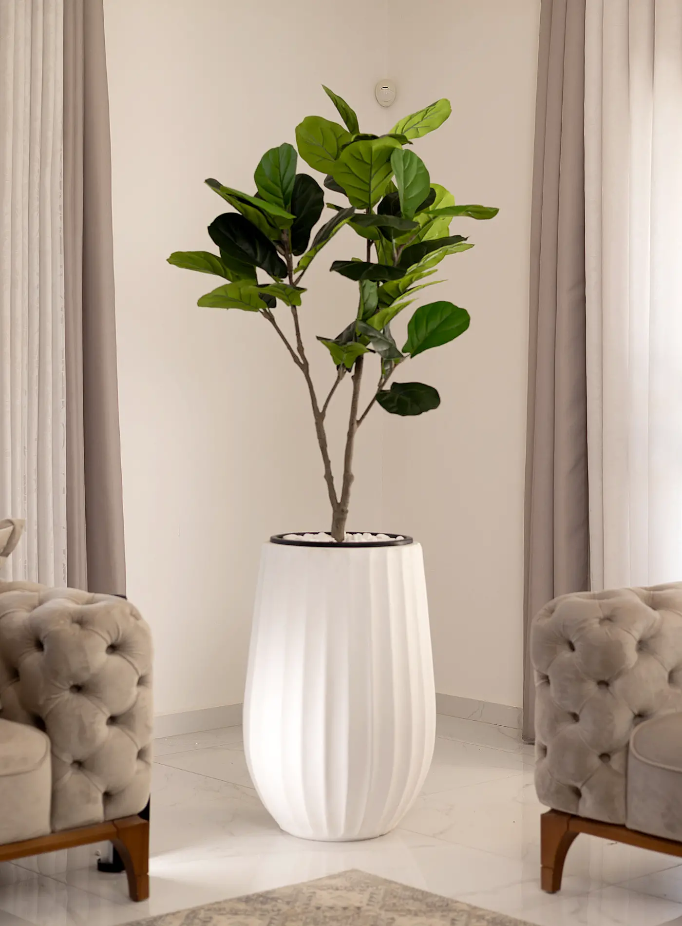 כד Elegance 70 בשילוב פיקוס כינורי מלאכותי קטן