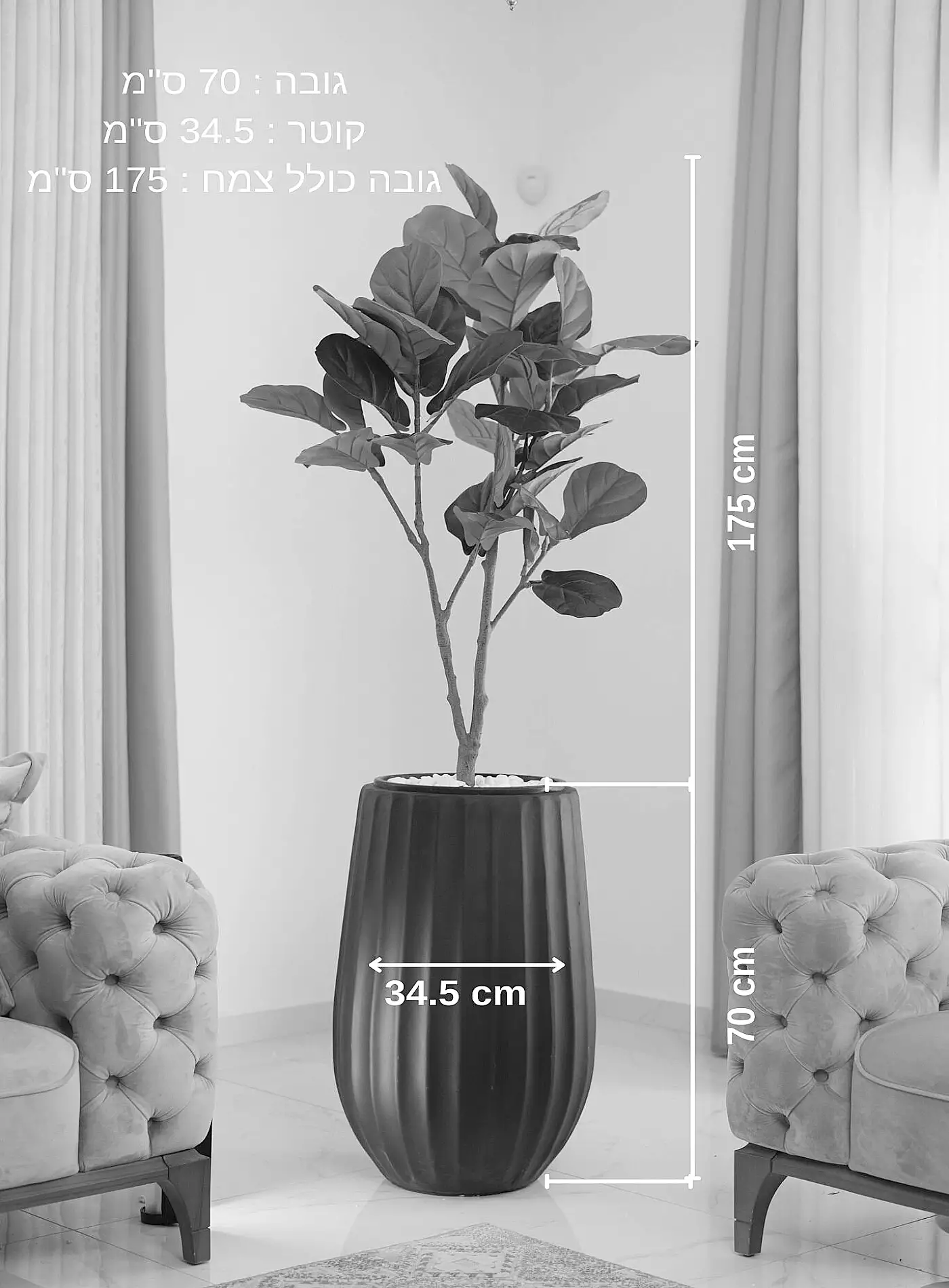 כד Elegance 70 בשילוב פיקוס כינורי מלאכותי קטן