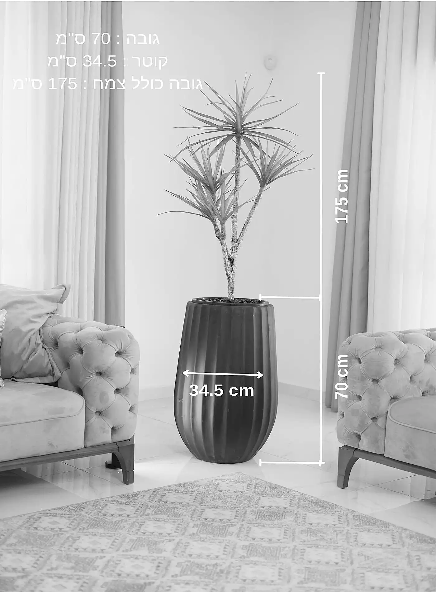 כד Elegance 70 בשילוב דרצנה מלאכותית