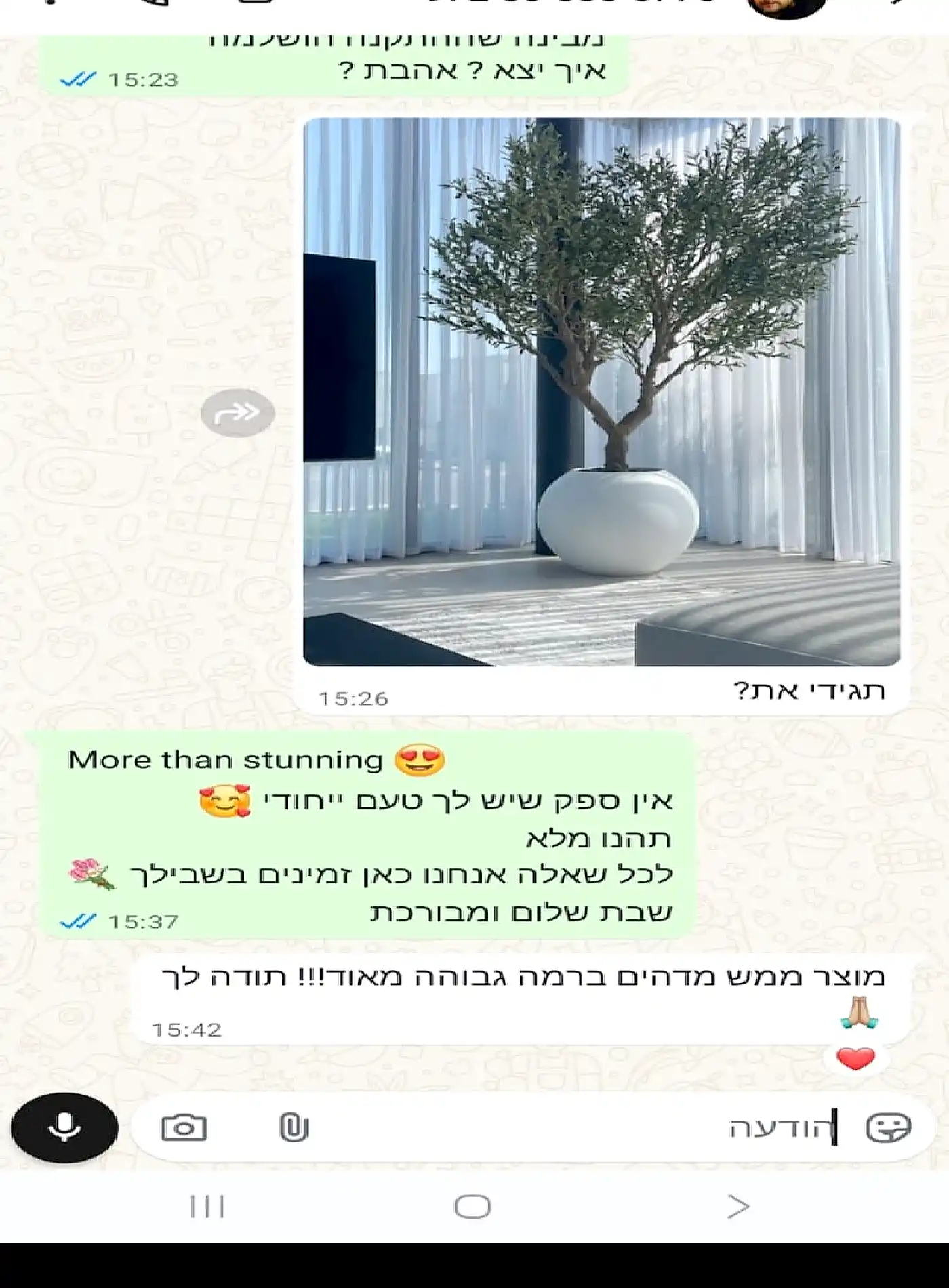 עץ זית מלאכותי ענק בשילוב כד JU MODEL