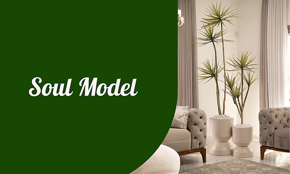 Soul Model