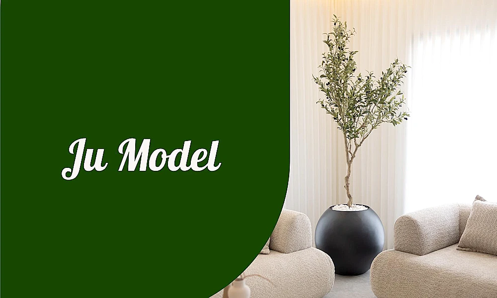 JU MODEL