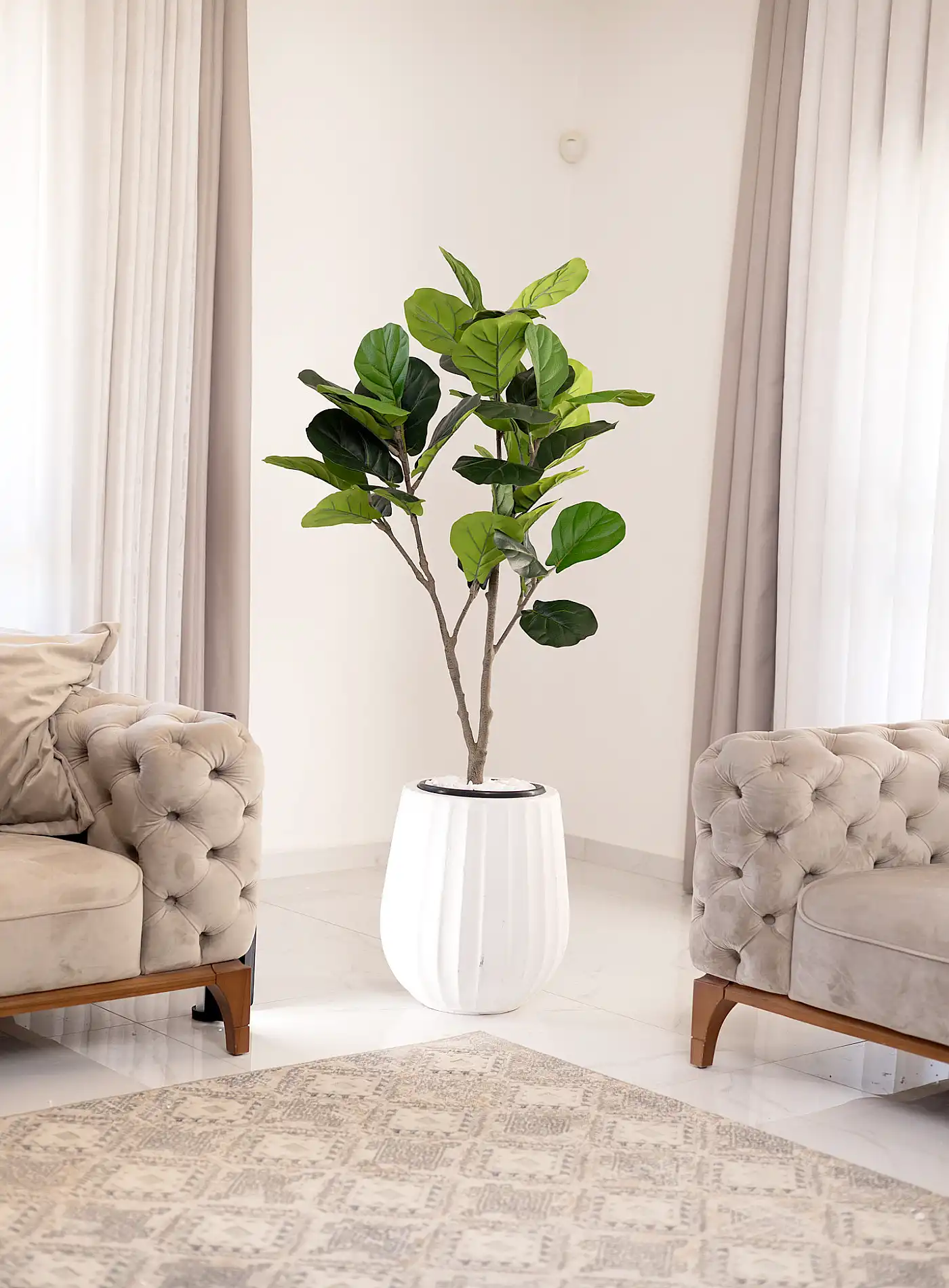 כד Elegance 45 בשילוב פיקוס כינורי מלאכותי קטן