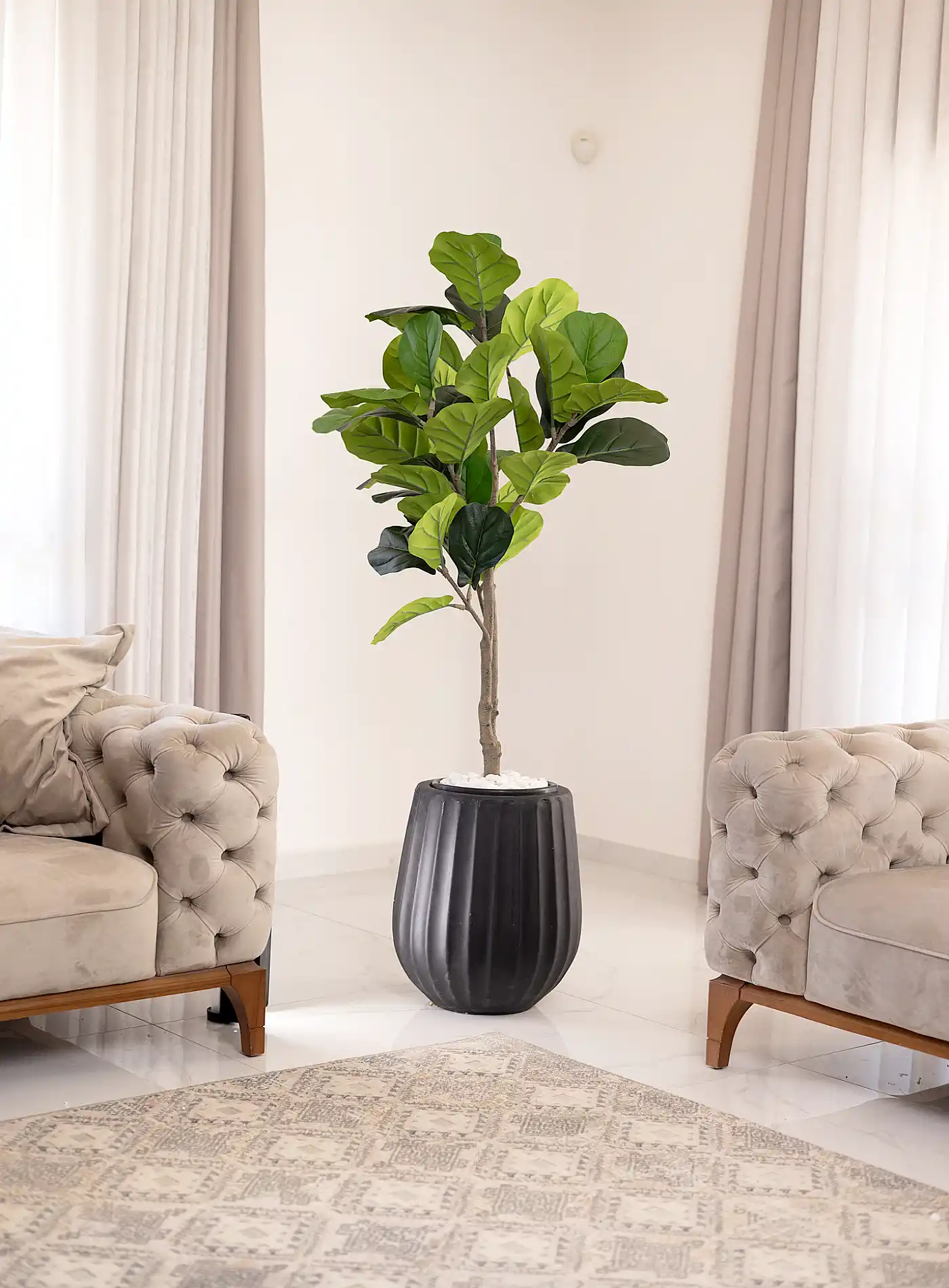 כד Elegance 45 בשילוב פיקוס כינורי מלאכותי קטן