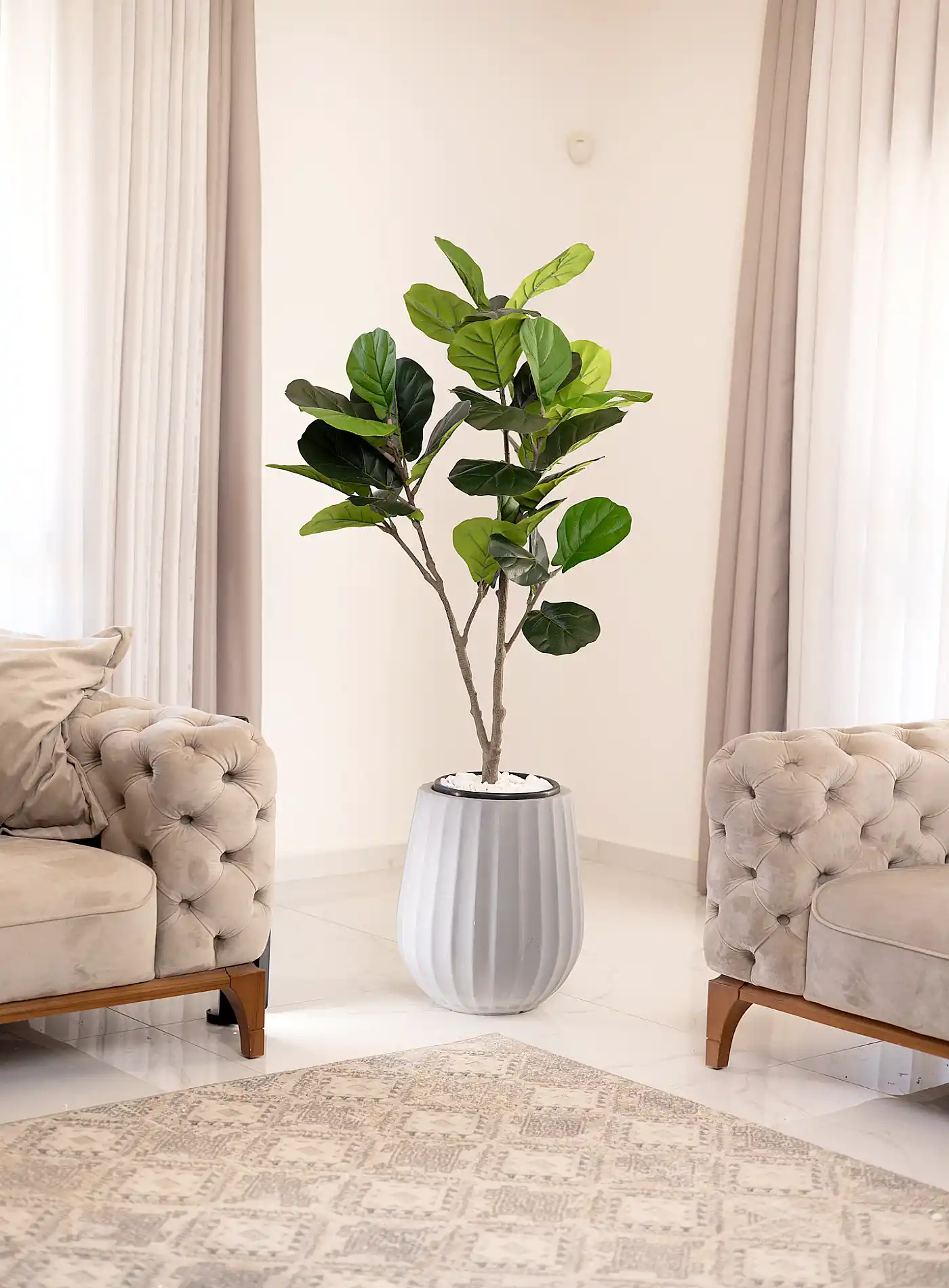 כד Elegance 45 בשילוב פיקוס כינורי מלאכותי קטן