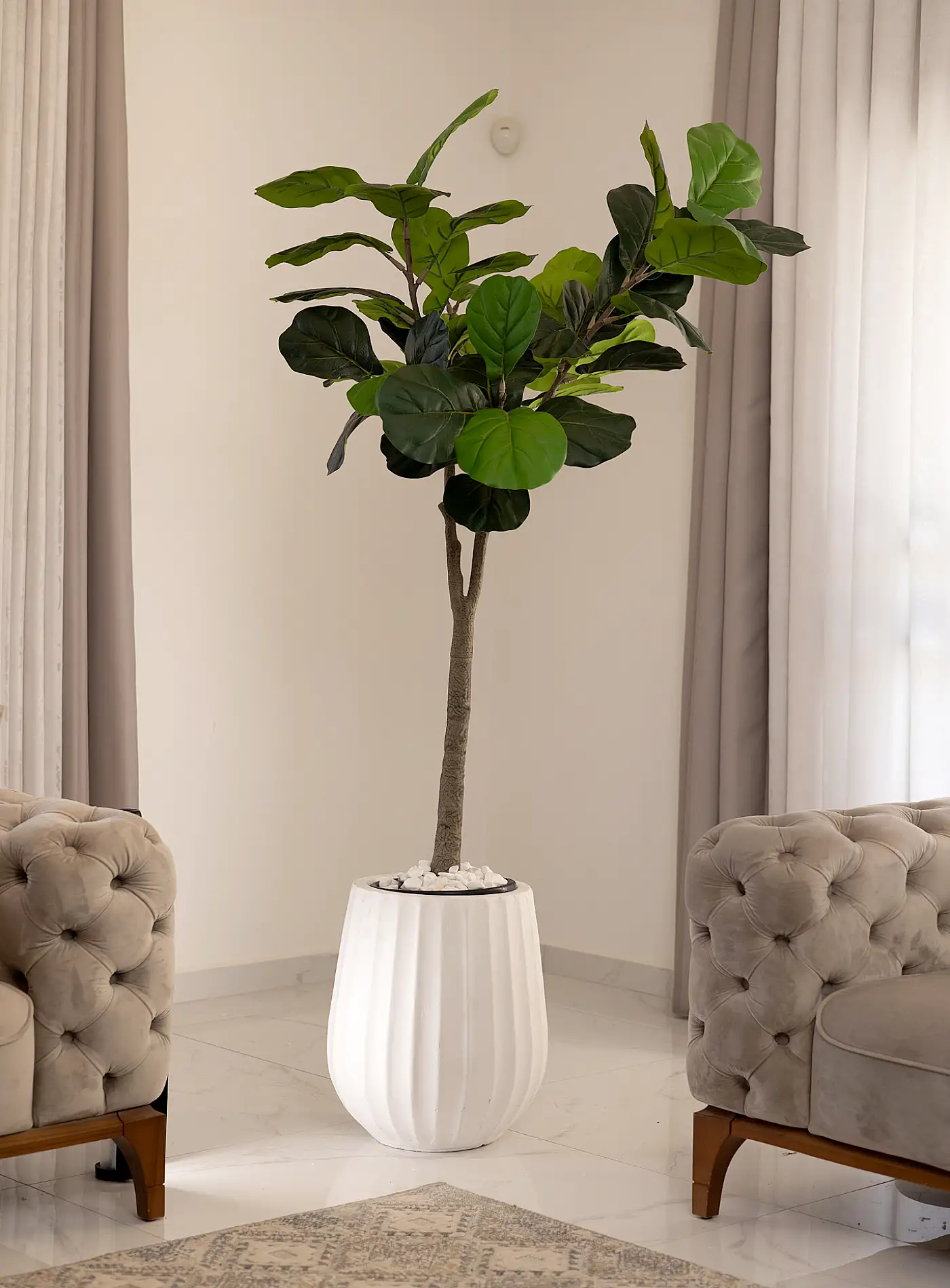 כד Elegance 45 בשילוב פיקוס כינורי מלאכותי גדול