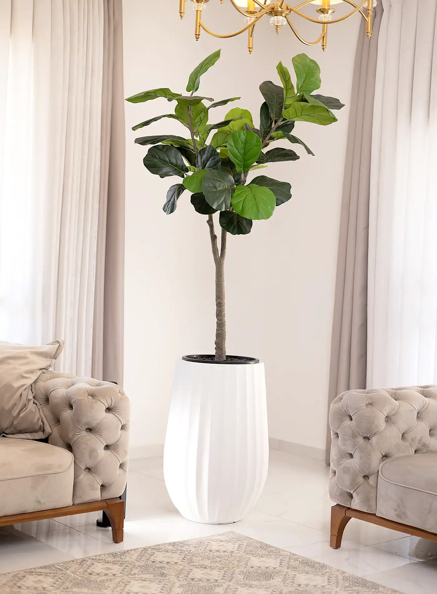 כד Elegance 70 בשילוב פיקוס כינורי מלאכותי גדול