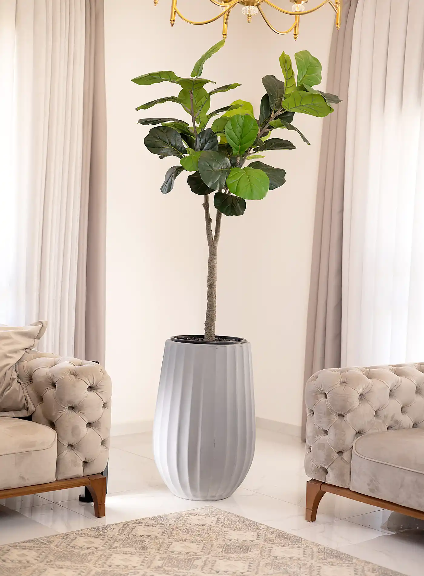 כד Elegance 70 בשילוב פיקוס כינורי מלאכותי גדול