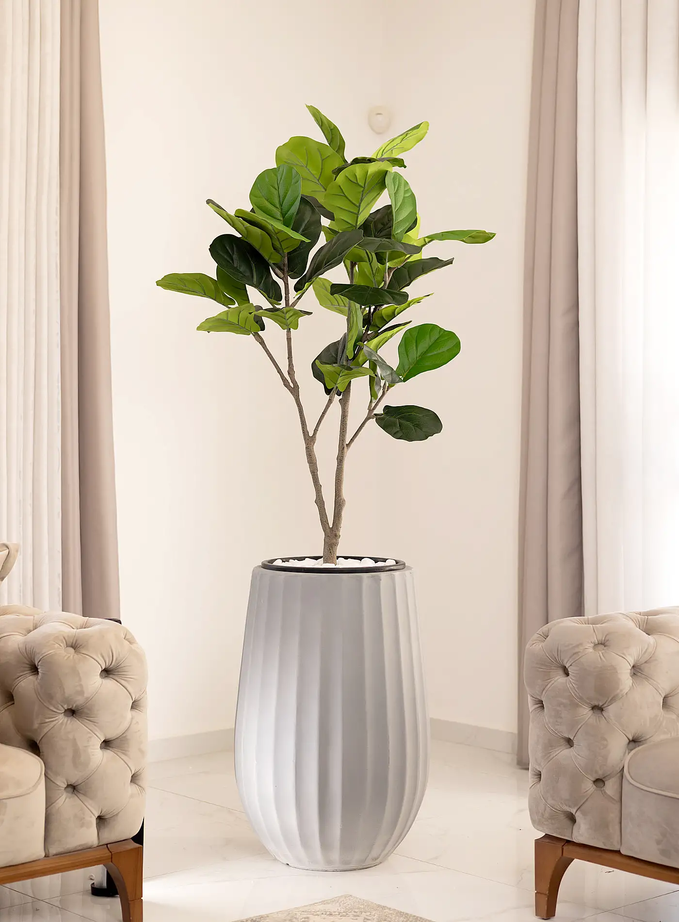 כד Elegance 70 בשילוב פיקוס כינורי מלאכותי קטן