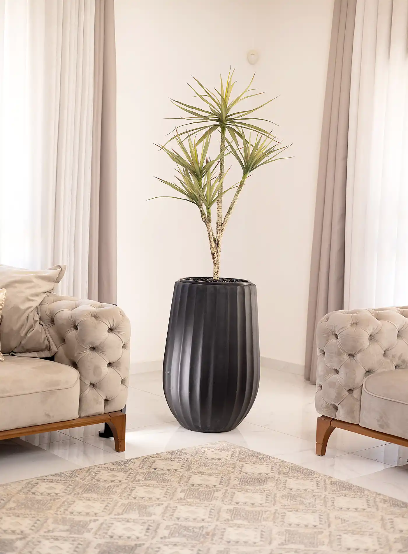 כד Elegance 70 בשילוב דרצנה מלאכותית