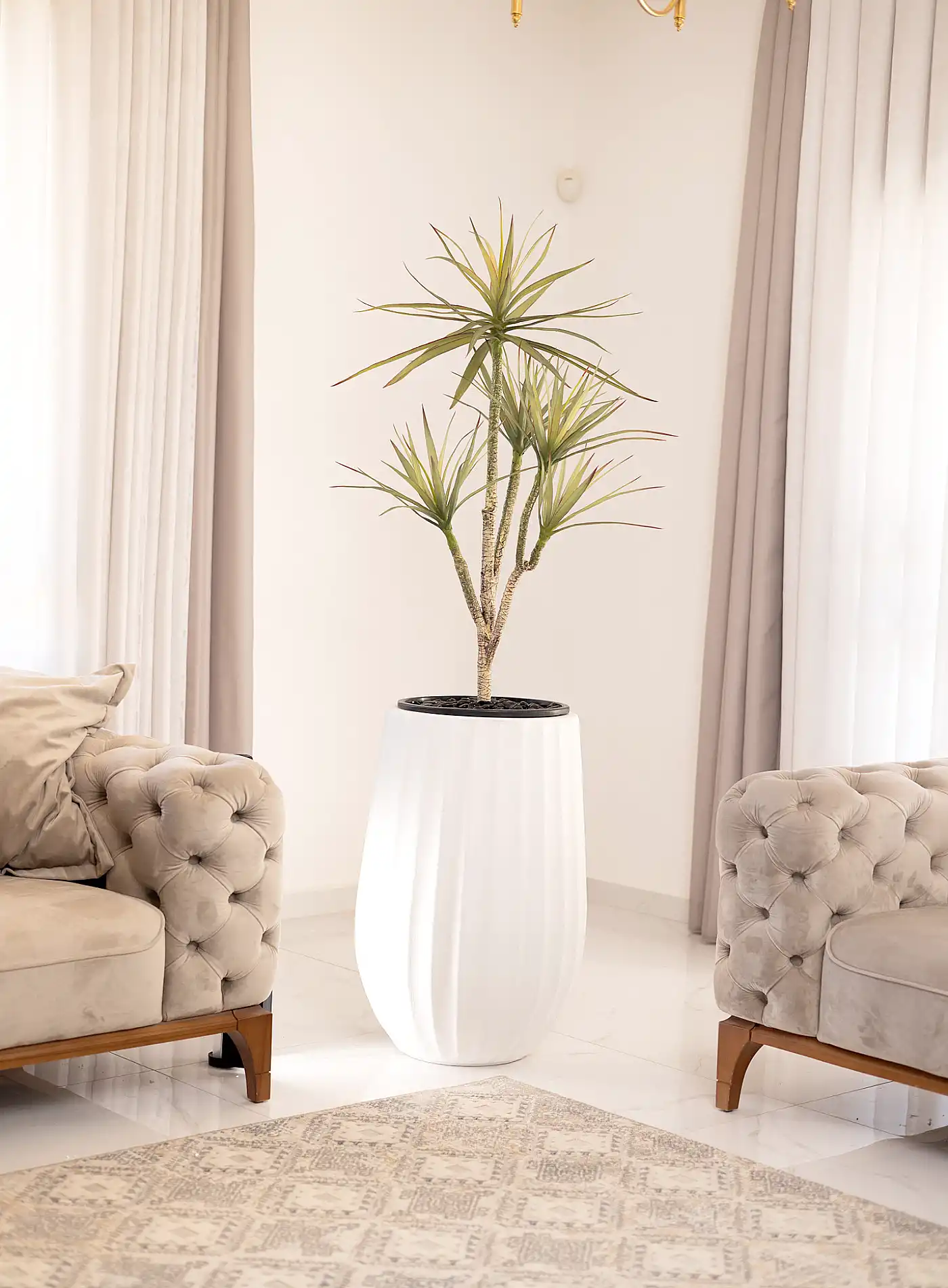 כד Elegance 70 בשילוב דרצנה מלאכותית