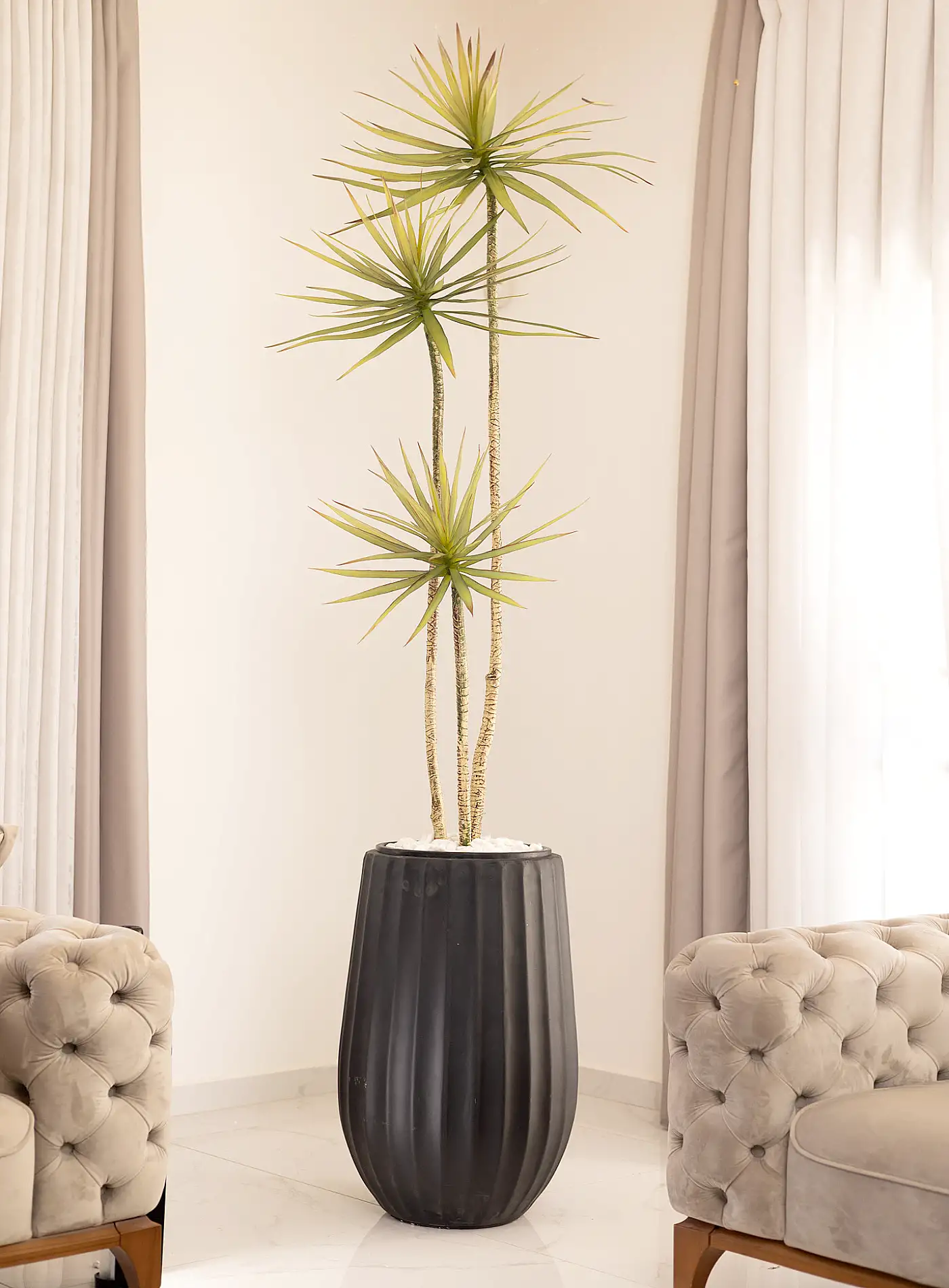 כד Elegance 70 בשילוב דרצנה מלאכותית 3 גזעים