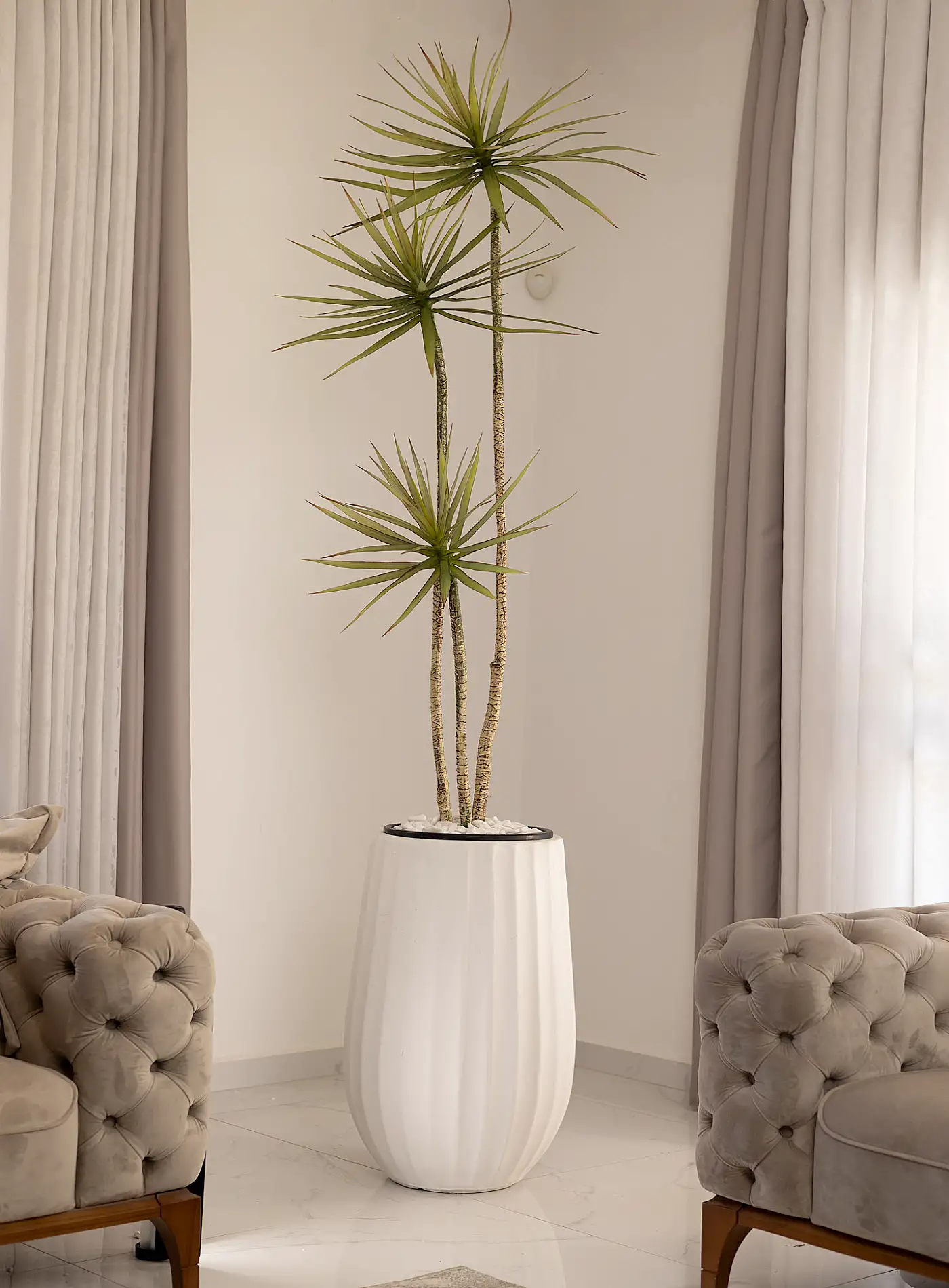 כד Elegance 70 בשילוב דרצנה מלאכותית 3 גזעים